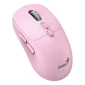 mouse__gen_rosado