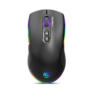 mouse_cybetr